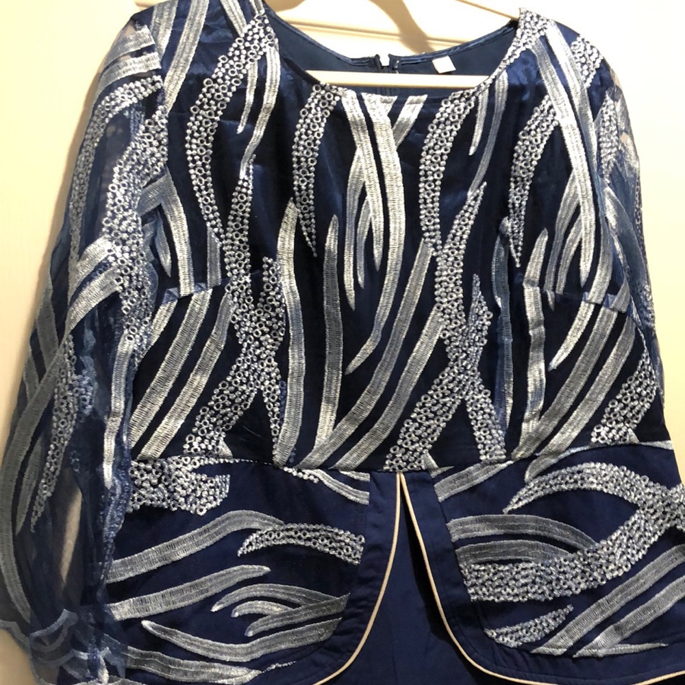 Royal blue dress with light blue embroidery. Long sleeve see through sleeves.